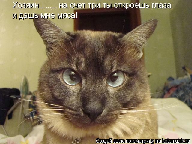 Котоматрица: Хозяин........ на счет три ты откроешь глаза и дашь мне мяса!