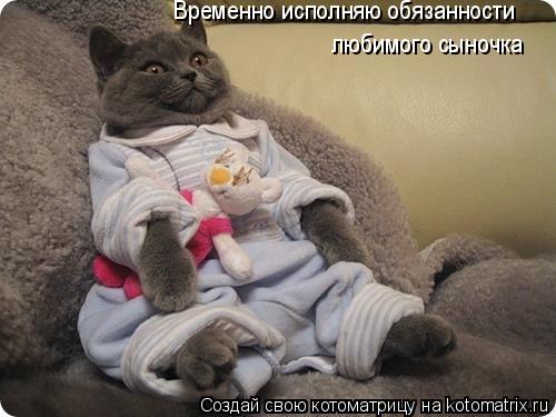 Котоматрица: Временно исполняю обязанности  любимого сыночка