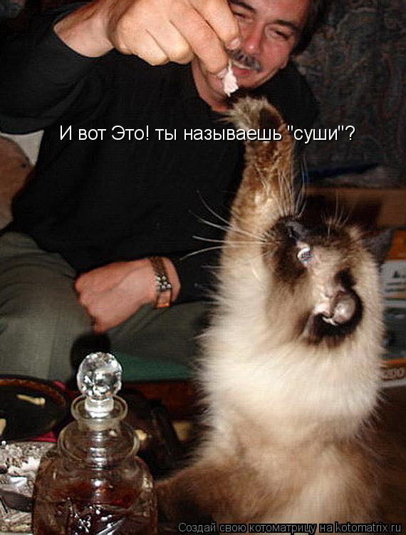 Котоматрица: И вот Это! ты называешь "суши"?