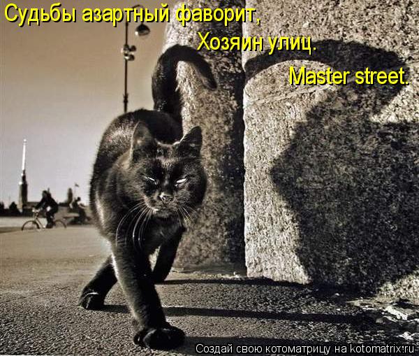 Котоматрица: Судьбы азартный фаворит,  Хозяин улиц. Master street.