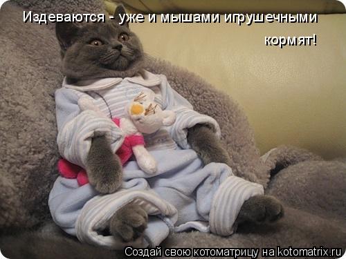 Котоматрица: Издеваются - уже и мышами игрушечными  кормят!