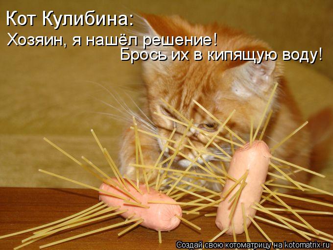 Котоматрица: Кот Кулибина: Хозяин, я нашёл решение! Брось их в кипящую воду!