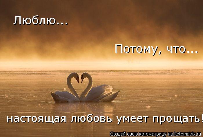 Котоматрица: Люблю... Потому, что... настоящая любовь умеет прощать!