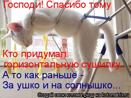 Котоматрица: Господи! Спасибо тому Кто придумал  горизонтальную сушилку.. А то как раньше -  За ушко и на солнышко...