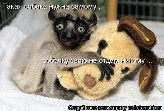 Котоматрица: Такая собака нужна самому , собачку свою не отдам никому ...