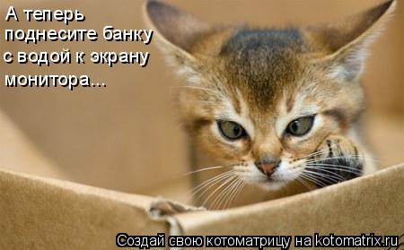 А теперь поднесите банку с водой к экрану монитора...... Котоматрица: А теперь поднесите банку с водой к экрану монитора...