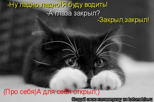 -Ну ладно,ладно!Я буду водить! -А глаза закрыл? -Закрыл,закрыл! (Про себя)А для себя открыл;)... Котоматрица: -Ну ладно,ладно!Я буду водить! -А глаза закрыл? -Закрыл,закрыл! (Про себя)А для себя открыл;)