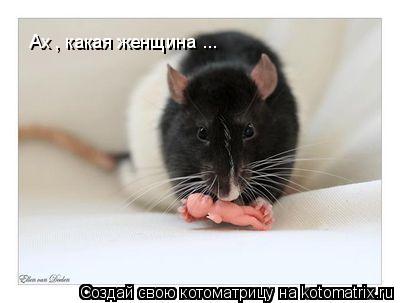 Ах , какая женщина ...... Котоматрица: Ах , какая женщина ...