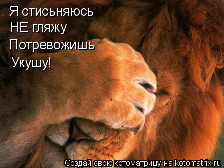 Я стисьняюсь НЕ гляжу Потревожишь Укушу!... Котоматрица: Я стисьняюсь НЕ гляжу Потревожишь Укушу!