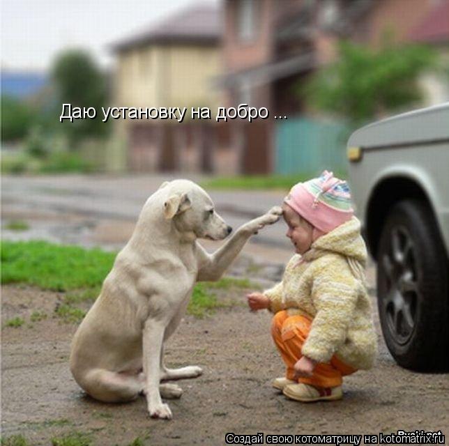 Даю установку на добро ...... Котоматрица: Даю установку на добро ...