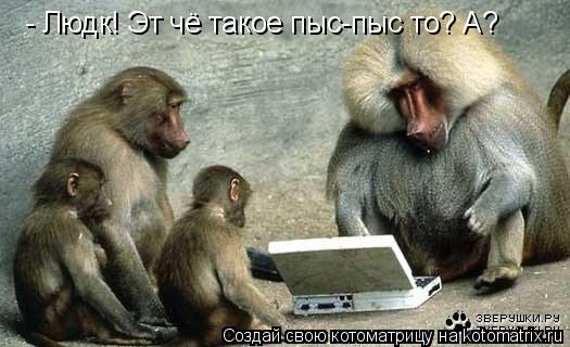 - Людк! Эт чё такое пыс-пыс то? А?... Котоматрица: - Людк! Эт чё такое пыс-пыс то? А?