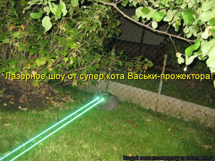 Котоматрица: Лазерное шоу от супер кота Васьки-прожектора!