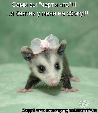 Сами вы "черти что"!!! ...и бантик у меня не сбоку!!!... Котоматрица: Сами вы "черти что"!!! ...и бантик у меня не сбоку!!!