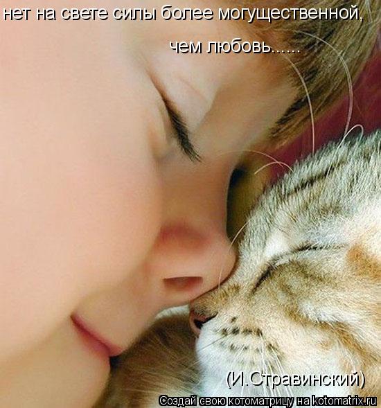 нет на свете силы более могущественной, чем любовь...... (И.Стравинский)... Котоматрица: нет на свете силы более могущественной, чем любовь...... (И.Стравинский)