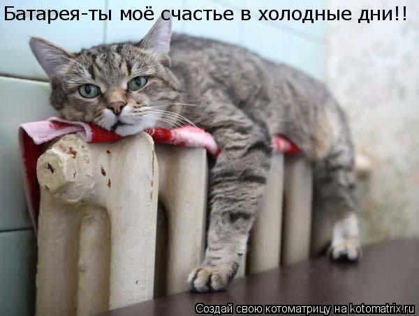 Батарея-ты моё счастье в холодные дни!!... Котоматрица: Батарея-ты моё счастье в холодные дни!!