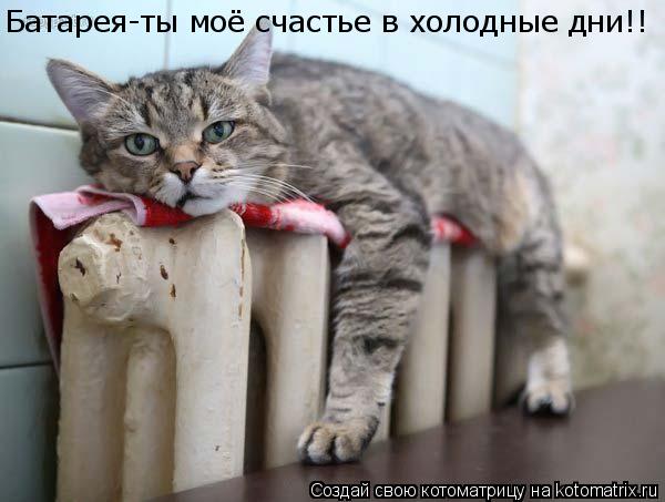 Котоматрица: Батарея-ты моё счастье в холодные дни!!