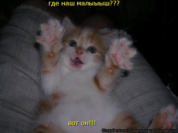 Котоматрица: где наш малыыыш???  вот он!!!