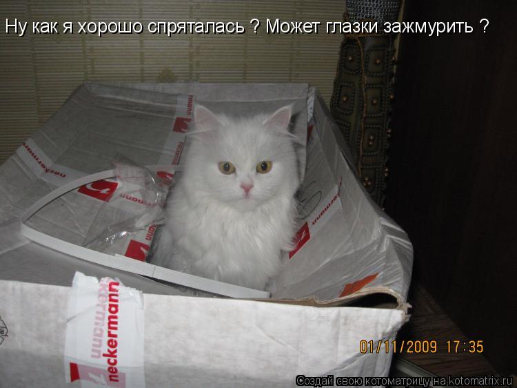 Котоматрица: Ну как я хорошо спряталась ? Может глазки зажмурить ?