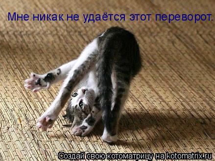 Котоматрица: Мне никак не удаётся этот переворот.