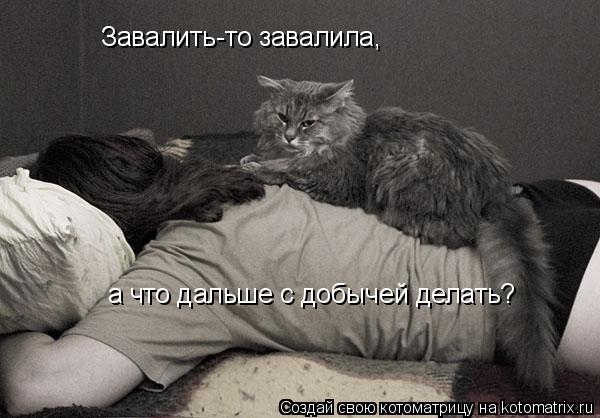 Завалить-то завалила, а что дальше с добычей делать? Завалить-то завалила, а что дальше с добычей де... Котоматрица: Завалить-то завалила, а что дальше с добычей делать? Завалить-то завалила, а что дальше с добычей делать?