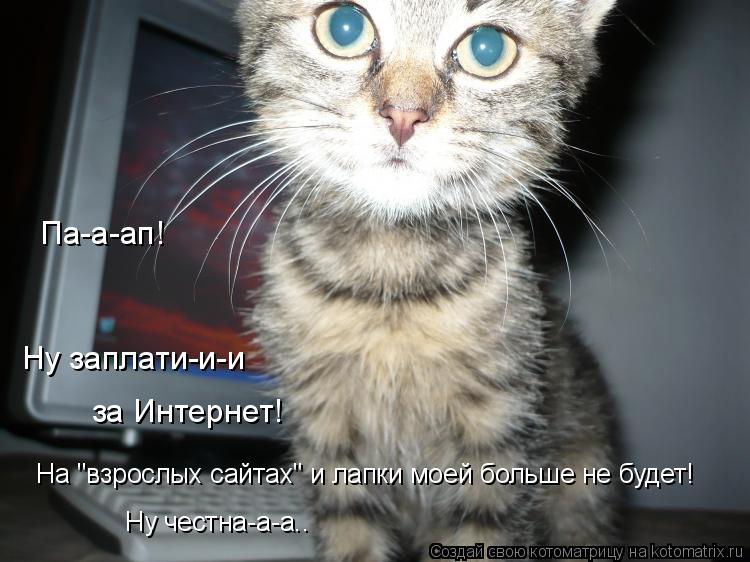 Па-а-ап! Ну заплати-и-и за Интернет! На "взрослых сайтах" и лапки моей больше не будет! Ну честна-а-а... Котоматрица: Па-а-ап! Ну заплати-и-и за Интернет! На "взрослых сайтах" и лапки моей больше не будет! Ну честна-а-а..
