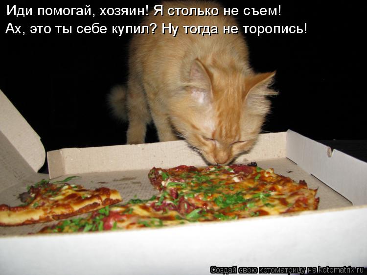 Иди помогай, хозяин! Я столько не съем! Ах, это ты себе купил? Ну тогда не торопись!... Котоматрица: Иди помогай, хозяин! Я столько не съем! Ах, это ты себе купил? Ну тогда не торопись!