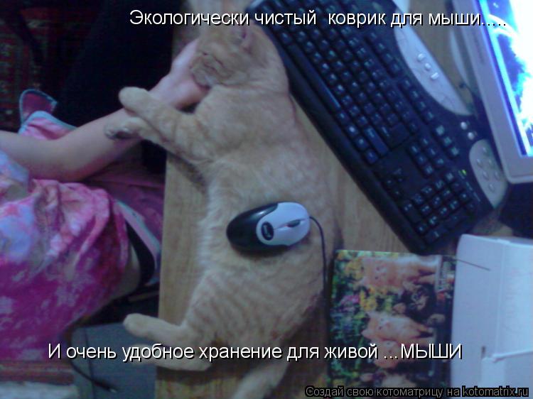 Экологически чистый коврик для мыши..... И очень удобное хранение для живой ...МЫШИ... Котоматрица: Экологически чистый коврик для мыши..... И очень удобное хранение для живой ...МЫШИ