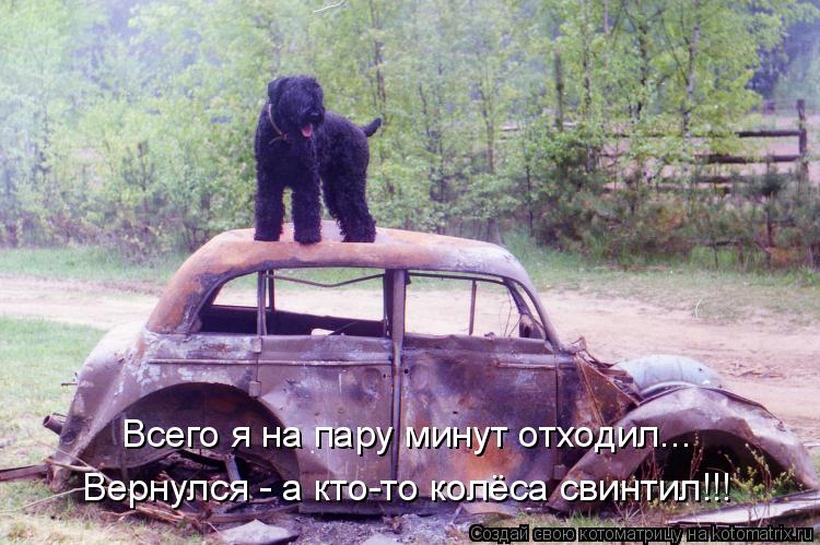 Котоматрица: Всего я на пару минут отходил... Вернулся - а кто-то колёса свинтил!!!