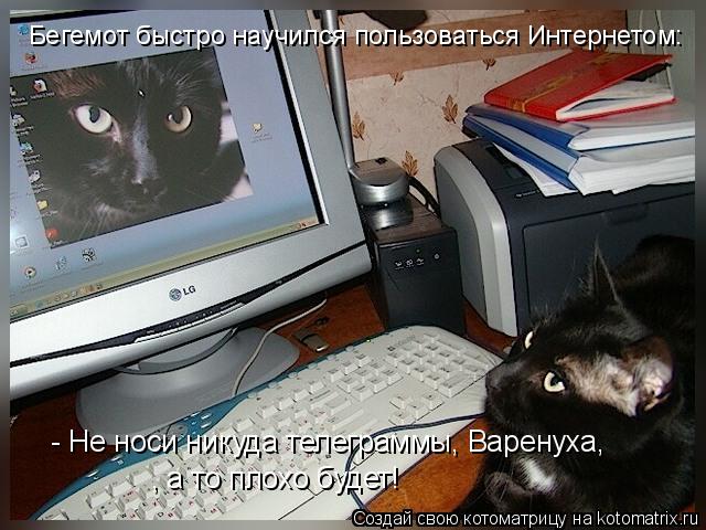 Котоматрица: , а то плохо будет!  - Не носи никуда телеграммы, Варенуха, Бегемот быстро научился пользоваться Интернетом: