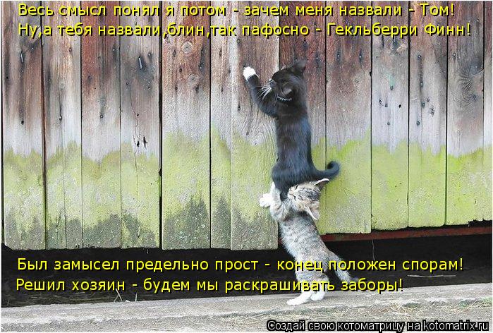 Котоматрица: Весь смысл понял я потом - зачем меня назвали - Том! Был замысел предельно прост - конец положен спорам! Решил хозяин - будем мы раскрашивать з