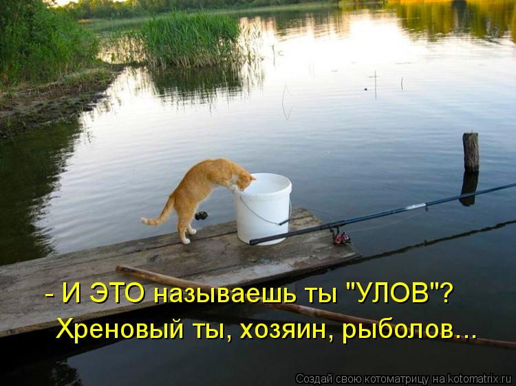 Котоматрица: - И ЭТО называешь ты "УЛОВ"? Хреновый ты, хозяин, рыболов...