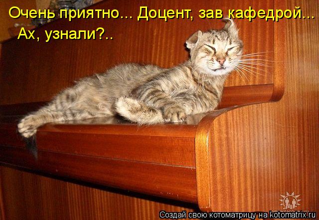 Котоматрица: Очень приятно... Доцент, зав кафедрой... Ах, узнали?..