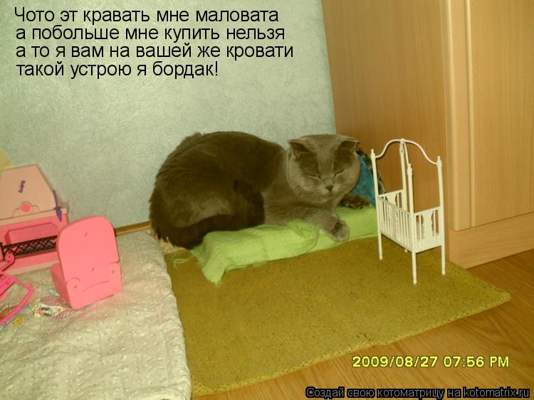 Котоматрица: Чото эт кравать мне маловата а побольше мне купить нельзя а то я вам на вашей же кровати такой устрою я бордак! такой устрою я бордак!