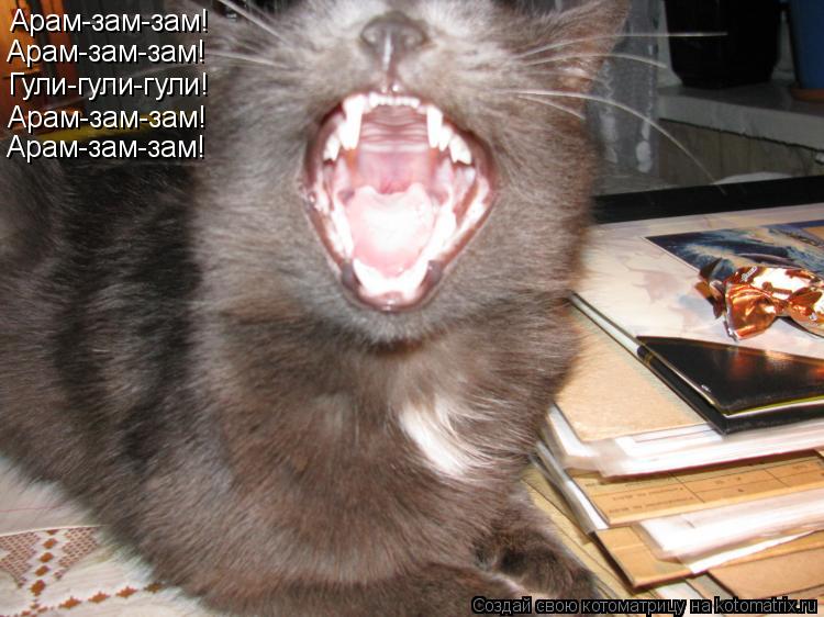 Котоматрица: Арам-зам-зам! Арам-зам-зам! Арам-зам-зам! Арам-зам-зам! Гули-гули-гули!