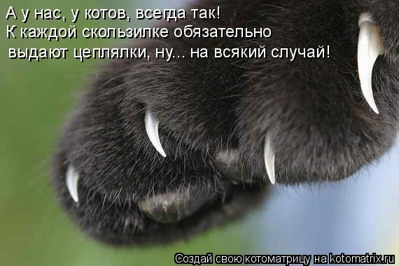 А у нас, у котов, всегда так! К каждой скользилке обязательно выдают цеплялки, ну... на всякий слу... Котоматрица: А у нас, у котов, всегда так! К каждой скользилке обязательно выдают цеплялки, ну... на всякий случай!