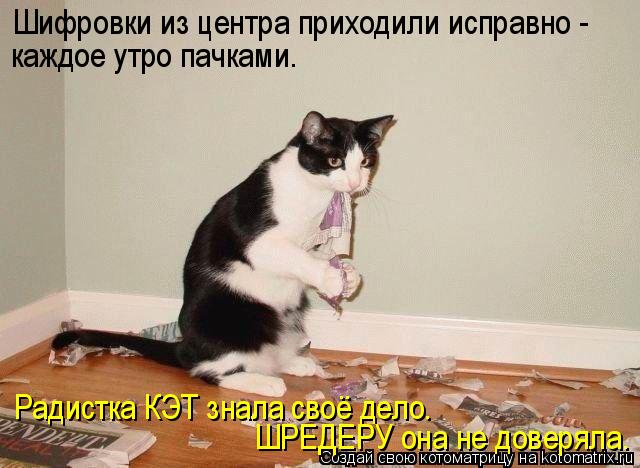 Шифровки из центра приходили исправно - каждое утро пачками. Радистка КЭТ знала своё дело. ШРЕДЕРУ ... Котоматрица: Шифровки из центра приходили исправно - каждое утро пачками. Радистка КЭТ знала своё дело. ШРЕДЕРУ она не доверяла.