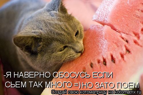 Котоматрица: -Я НАВЕРНО ОБОСУСЬ ЕСЛИ СЬЕМ ТАК МНОГО =) НО ЗАТО ПОЕМ