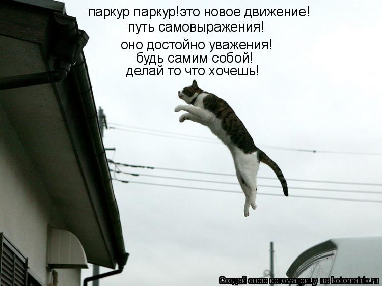 Котоматрица: паркур паркур!это новое движение! путь самовыражения! оно достойно уважения! будь самим собой! делай то что хочешь!