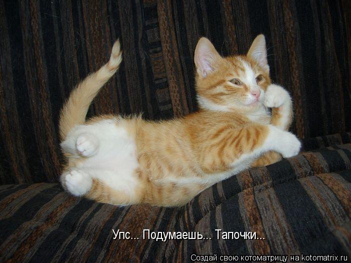Котоматрица: Упс... Подумаешь... Тапочки...