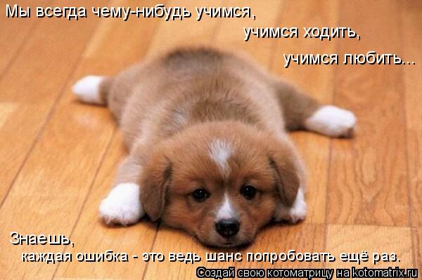 Котоматрица: Мы всегда чему-нибудь учимся, Знаешь, каждая ошибка - это ведь шанс попробовать ещё раз. учимся ходить, учимся любить...