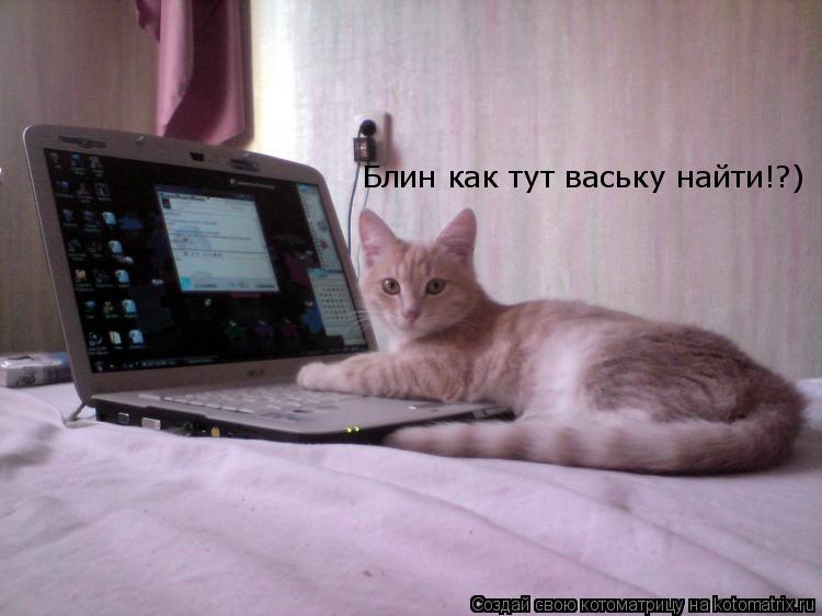 Котоматрица: Блин как тут ваську найти!?)