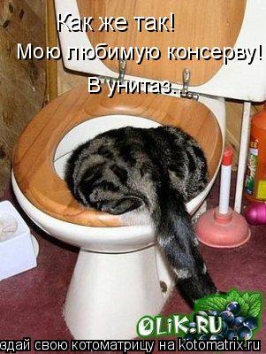 Котоматрица: Как же так! Мою любимую консерву! В унитаз...