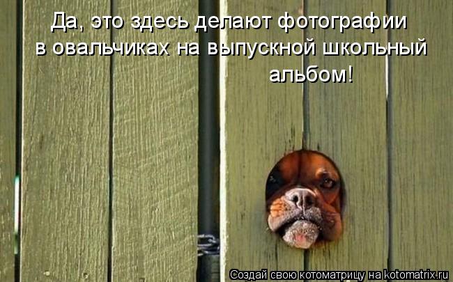 Да, это здесь делают фотографии в овальчиках на выпускной школьный альбом!... Котоматрица: Да, это здесь делают фотографии в овальчиках на выпускной школьный альбом!