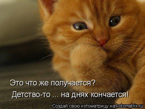 Это что же получается? Детство-то ... на днях кончается!... Котоматрица: Это что же получается? Детство-то ... на днях кончается!