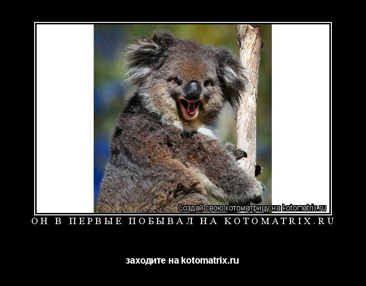 Котоматрица: Он в первые побывал на kotomatrix.ru заходите на kotomatrix.ru
