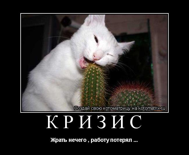 Котоматрица: КРИЗИС Жрать нечего , работу потерял ...