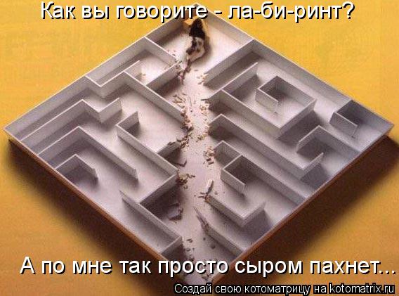 Как вы говорите - ла-би-ринт? А по мне так просто сыром пахнет...... Котоматрица: Как вы говорите - ла-би-ринт? А по мне так просто сыром пахнет...