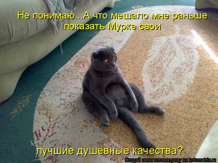 Не понимаю...А что мешало мне раньше показать Мурке свои лучшие душевные качества?... Котоматрица: Не понимаю...А что мешало мне раньше показать Мурке свои лучшие душевные качества?