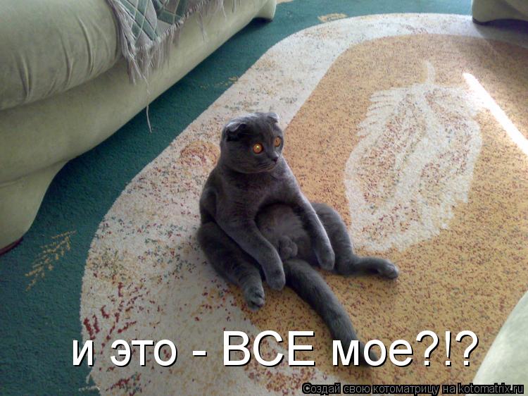 Котоматрица: и это - BCE моe?!?