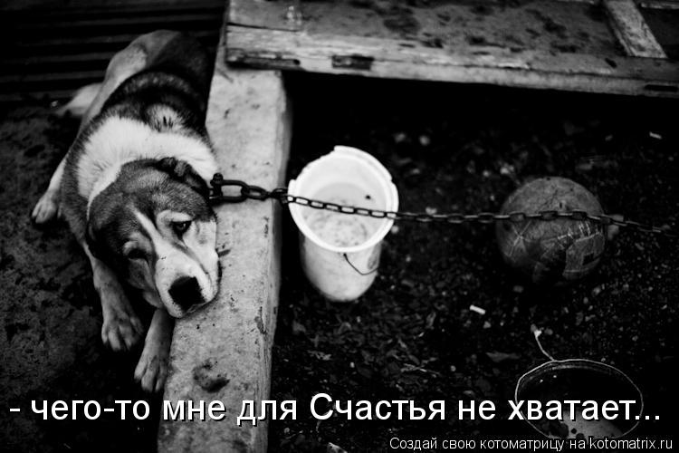 - чего-то мне для Счастья не хватает...... Котоматрица: - чего-то мне для Счастья не хватает...